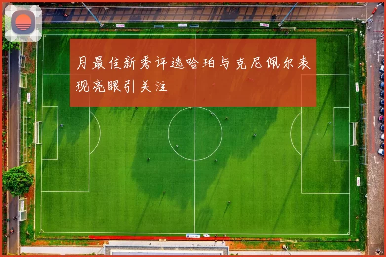 月最佳新秀评选哈珀与克尼佩尔表现亮眼引关注